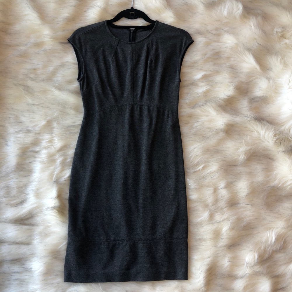 Professional Fitted Dress